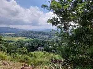 20P Bare Land for Sale Mahakandawatta, Kandy (SL 14519)