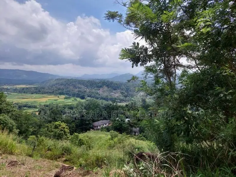 20P Bare Land for Sale Mahakandawatta, Kandy (SL 14519)