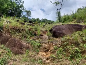 20P Bare Land for Sale Mahakandawatta, Kandy (SL 14519)