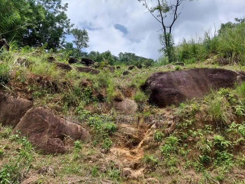 20P Bare Land for Sale Mahakandawatta, Kandy (SL 14519)