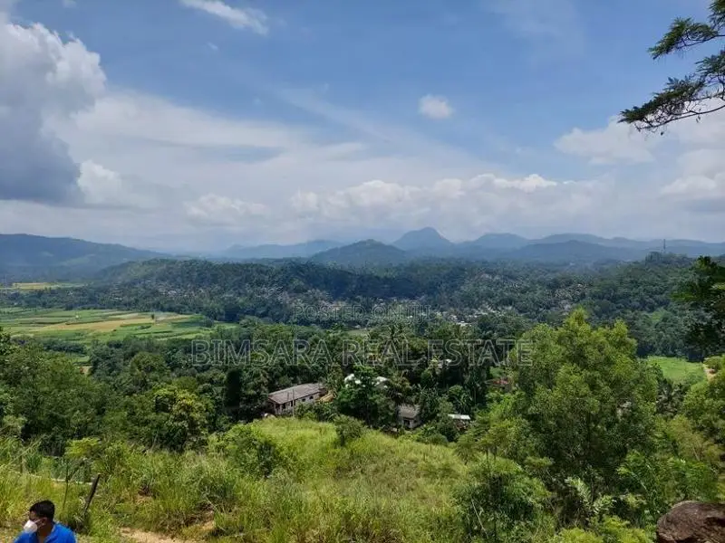 20P Bare Land for Sale Mahakandawatta, Kandy (SL 14519)