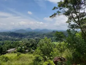 20P Bare Land for Sale Mahakandawatta, Kandy (SL 14519)
