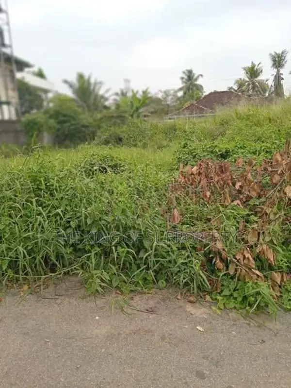 Land for Sale in Pannipitiya