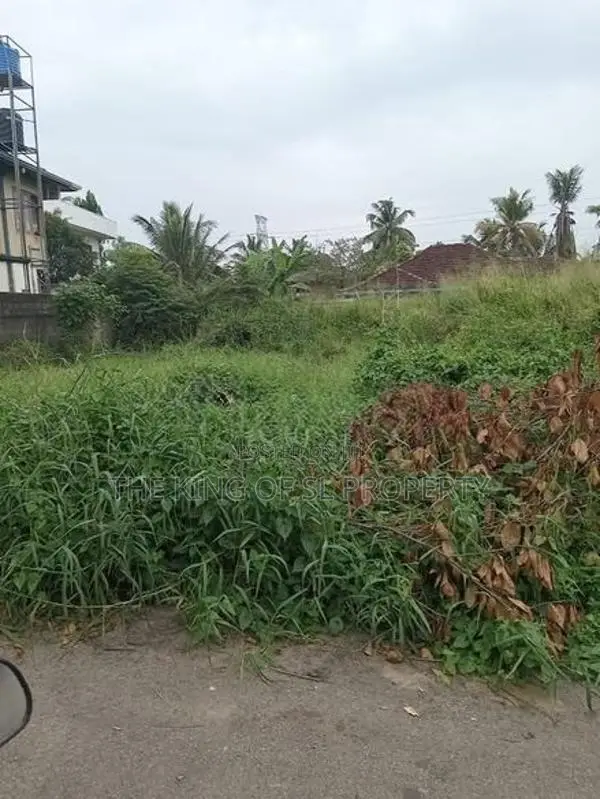 Land for Sale in Pannipitiya