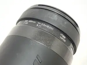 Nikon 200-400 DSLR Wildlife Lens