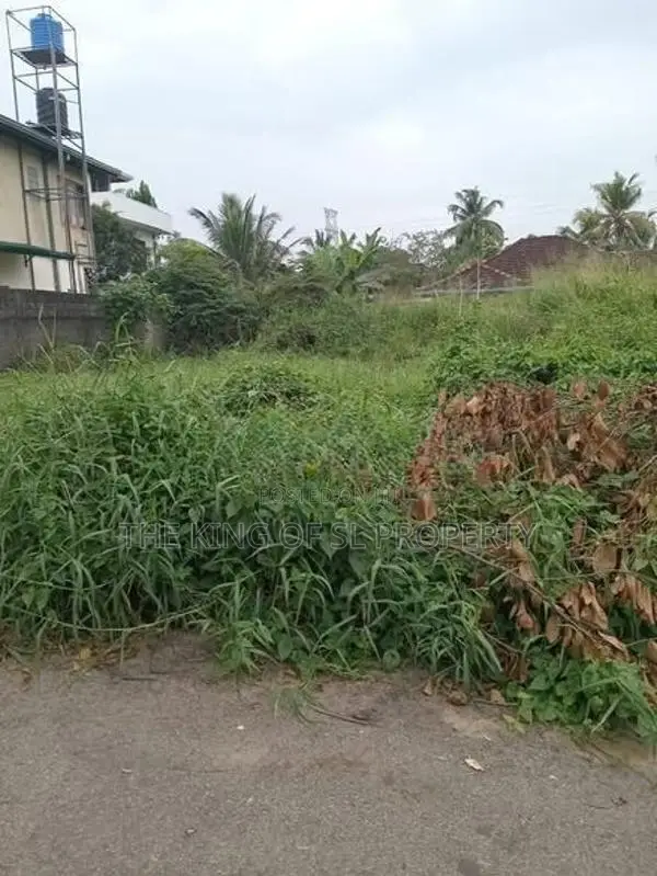 Land for Sale in Pannipitiya