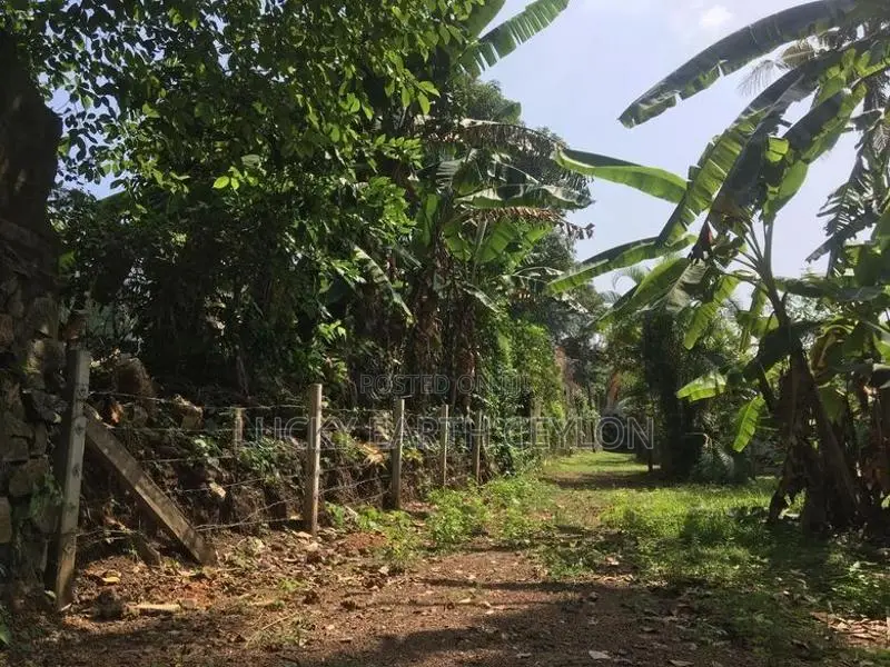 Sale Panadura Rectangular Bare Land (S128)
