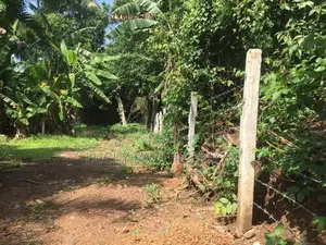 Sale Panadura Rectangular Bare Land (S128)