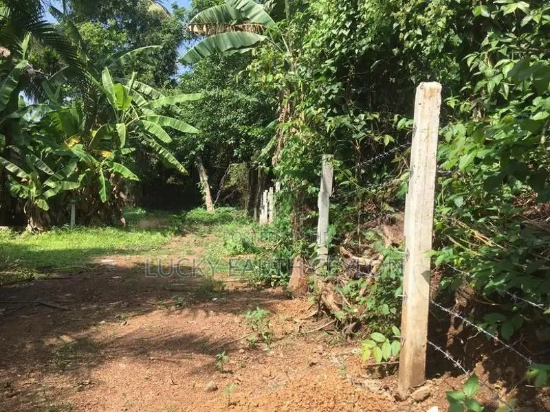 Sale Panadura Rectangular Bare Land (S128)