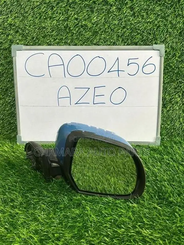 Nissan Leaf (AZEO) Side Mirror