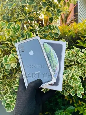 Apple iPhone XS 256GB. (Used)