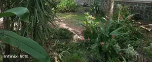 56 Perches Land Sale in Mount Lavinia