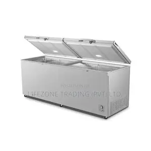 Hisense 701 Liter Double Door Chest freezer