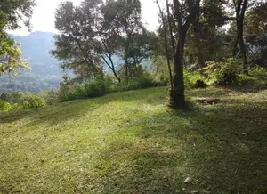Bandarawela : 25 P commercial land for Sale at Bindunuwawa