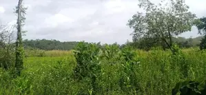 waterfront land for sale Ds4600