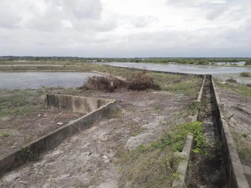 Puttalam : 10 Acres Salt Farm for sale at Madurankuliya