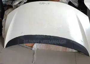 Honda GP5 Fender Door Bonnet Dicky