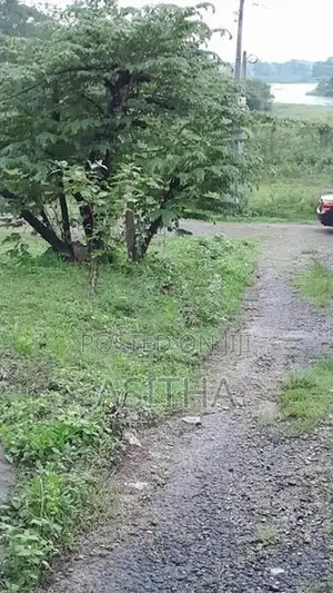 7.25 Super Land Kaduwela