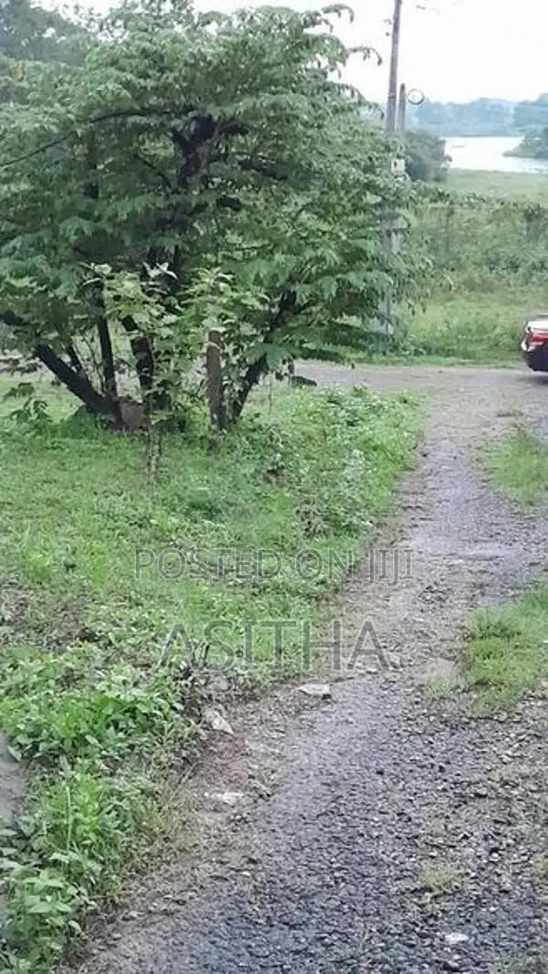 7.25 Super Land Kaduwela
