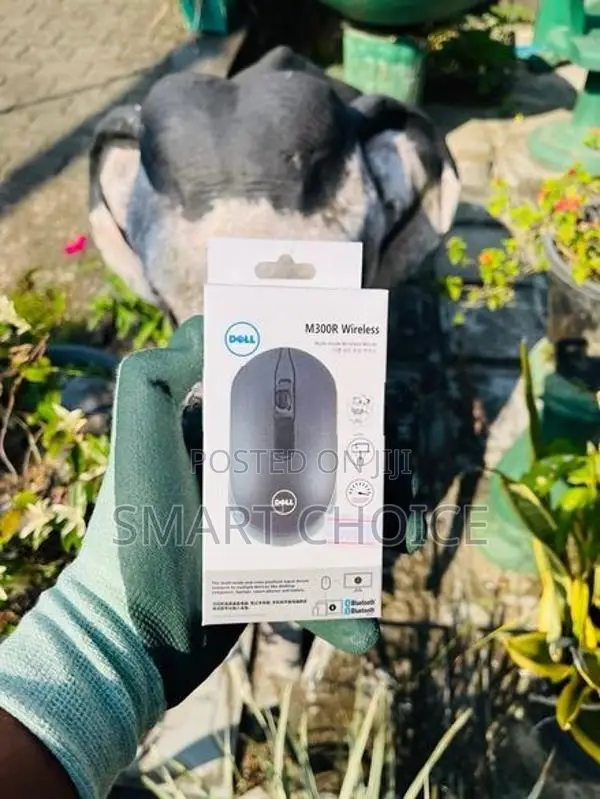 Dell M300R Wireless Mouse