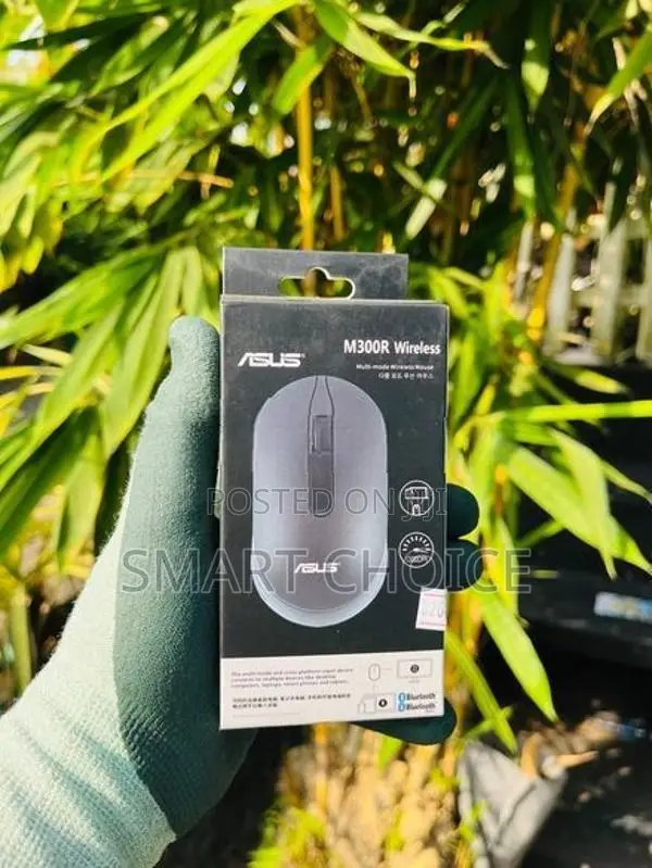 ASUS M300R Wireless Mouse