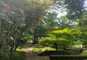 70.5P Land for Sale in Heerassagala Road, Kandy (SL 14472)