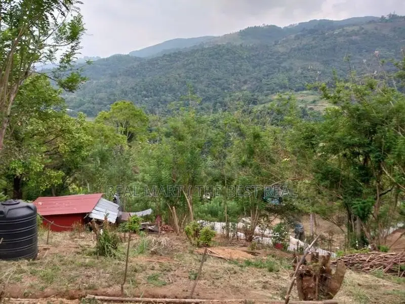Kandy : 940 perches Land for Sale at Thalatuoya