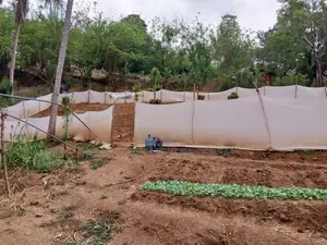 Kandy : 940 perches Land for Sale at Thalatuoya