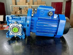 Hollow Type Gear Motor