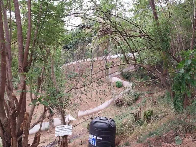 Kandy : 940 perches Land for Sale at Thalatuoya