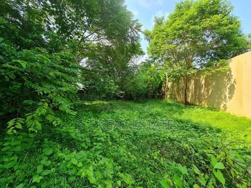 12.50P Bare Land For Sale In Mount Lavinia