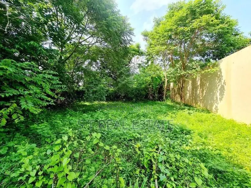 12.50P Bare Land For Sale In Mount Lavinia