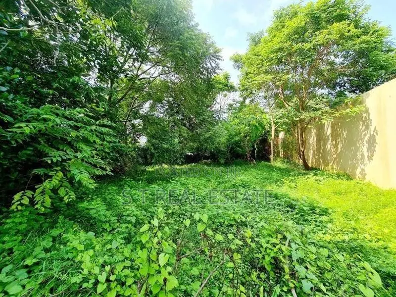 12.50P Bare Land For Sale In Mount Lavinia