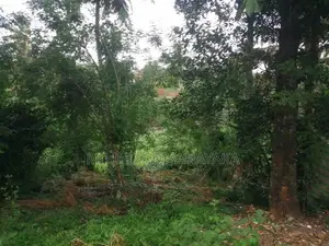Land for Sale in Kundasale
