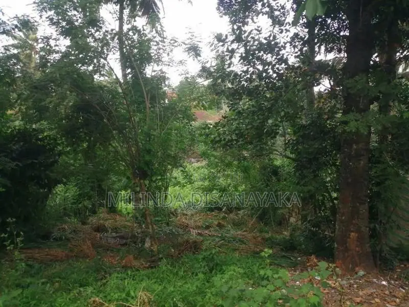 Land for Sale in Kundasale
