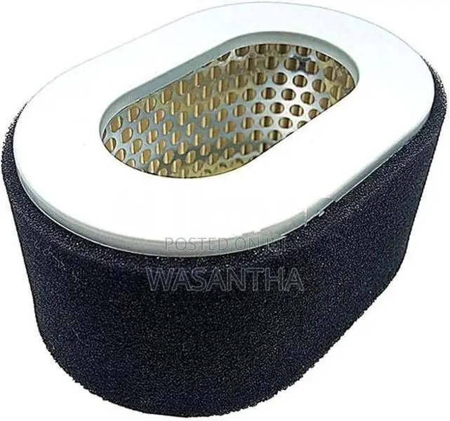 Diesel Generator Air Filter
