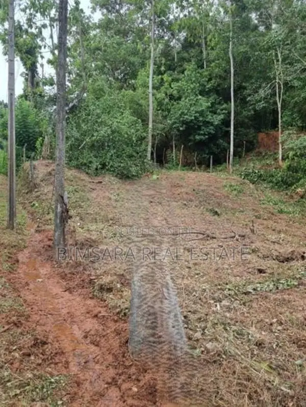 18P Bare Land for Sale in Nandajothikarama Road, Pannipitiya (SL 14591