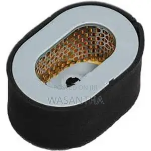 Diesel Generator Air Filter