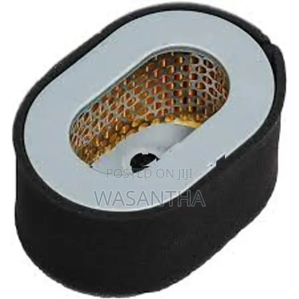Diesel Generator Air Filter
