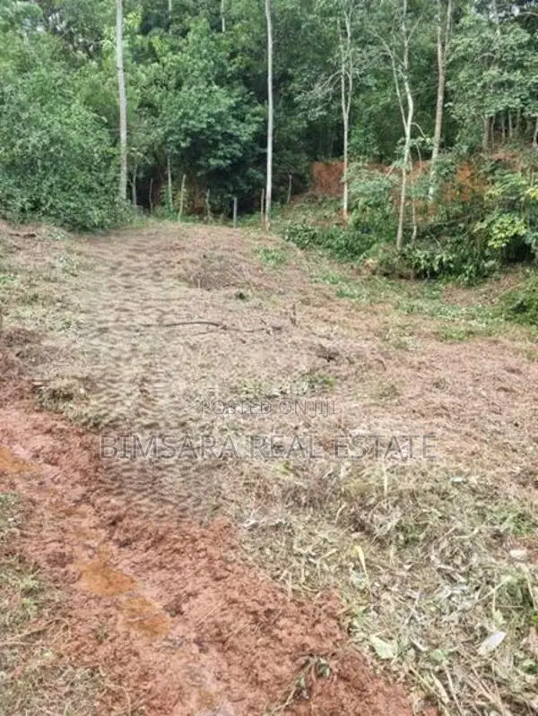 18P Bare Land for Sale in Nandajothikarama Road, Pannipitiya (SL 14591