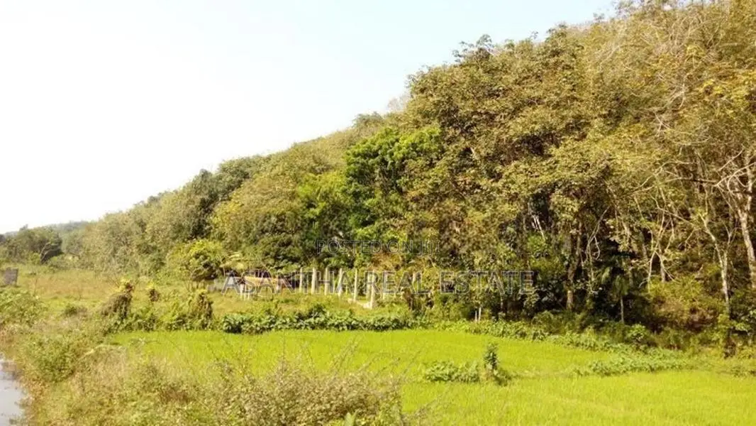 19 Acre Land Sale At Nebada Kaluthara