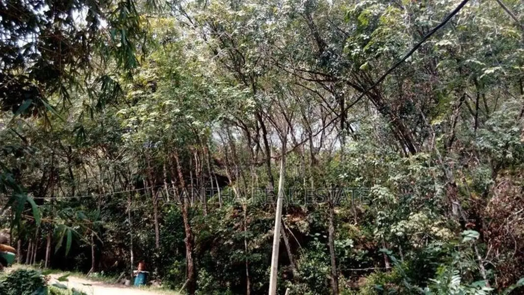19 Acre Land Sale At Nebada Kaluthara