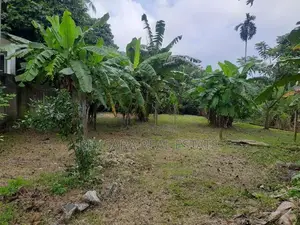 10P Bare Land for Sale in Godella Mw, Angoda (SL 14590)
