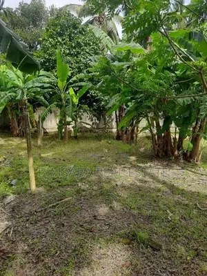 10P Bare Land for Sale in Godella Mw, Angoda (SL 14590)