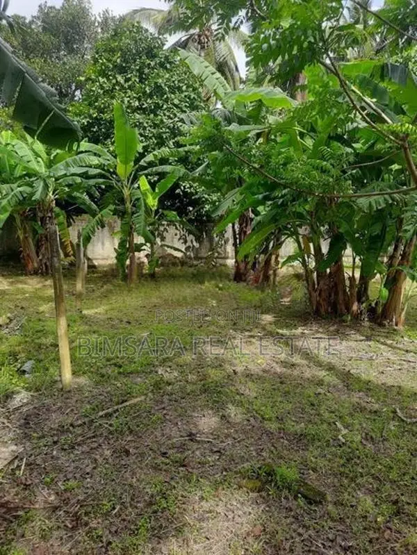 10P Bare Land for Sale in Godella Mw, Angoda (SL 14590)
