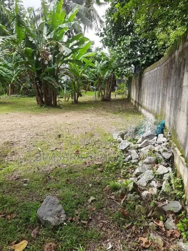 10P Bare Land for Sale in Godella Mw, Angoda (SL 14590)