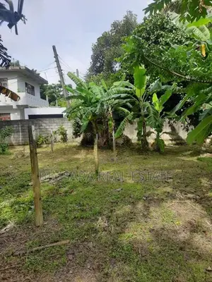 10P Bare Land for Sale in Godella Mw, Angoda (SL 14590)