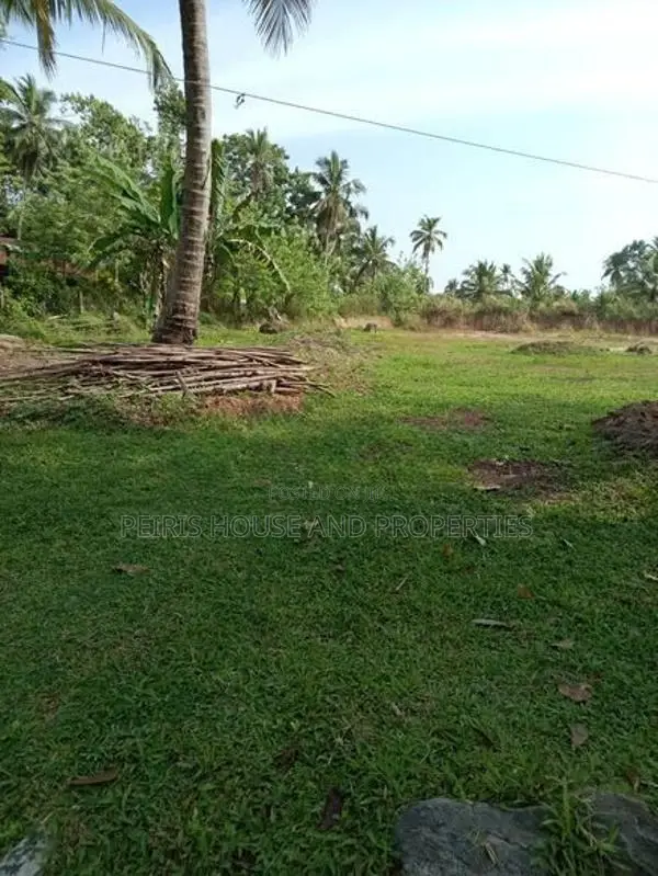 240 perch Land For Sale Minuwangoda Gampaha