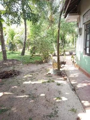240 perch Land For Sale Minuwangoda Gampaha