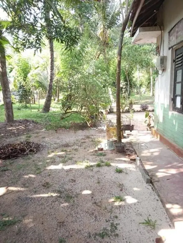 240 perch Land For Sale Minuwangoda Gampaha